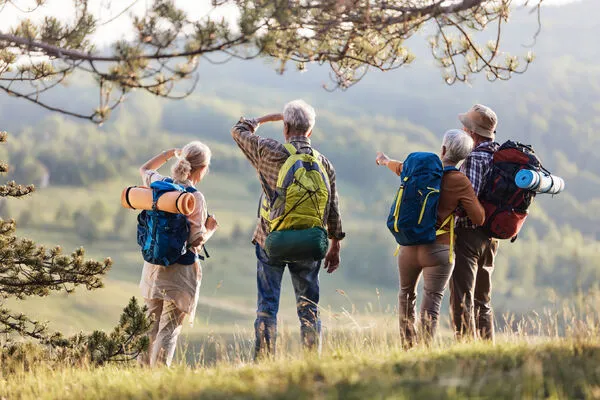 Rear view of senior backpackers looking at view on a mountain.
