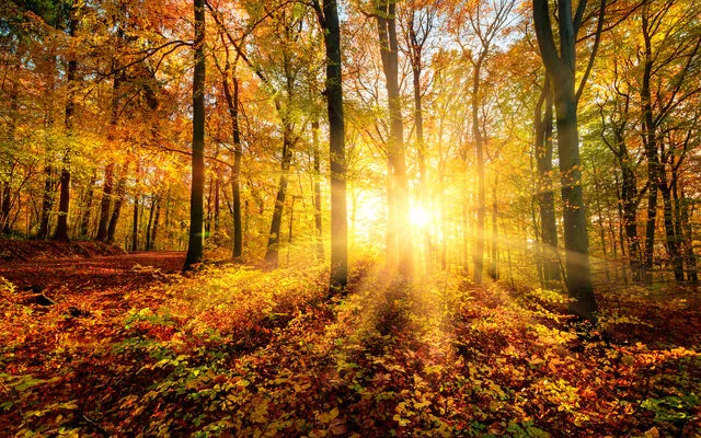 Herfstvakantie NL: Noord