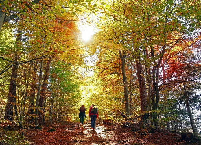 Herfstvakantie NL: Noord