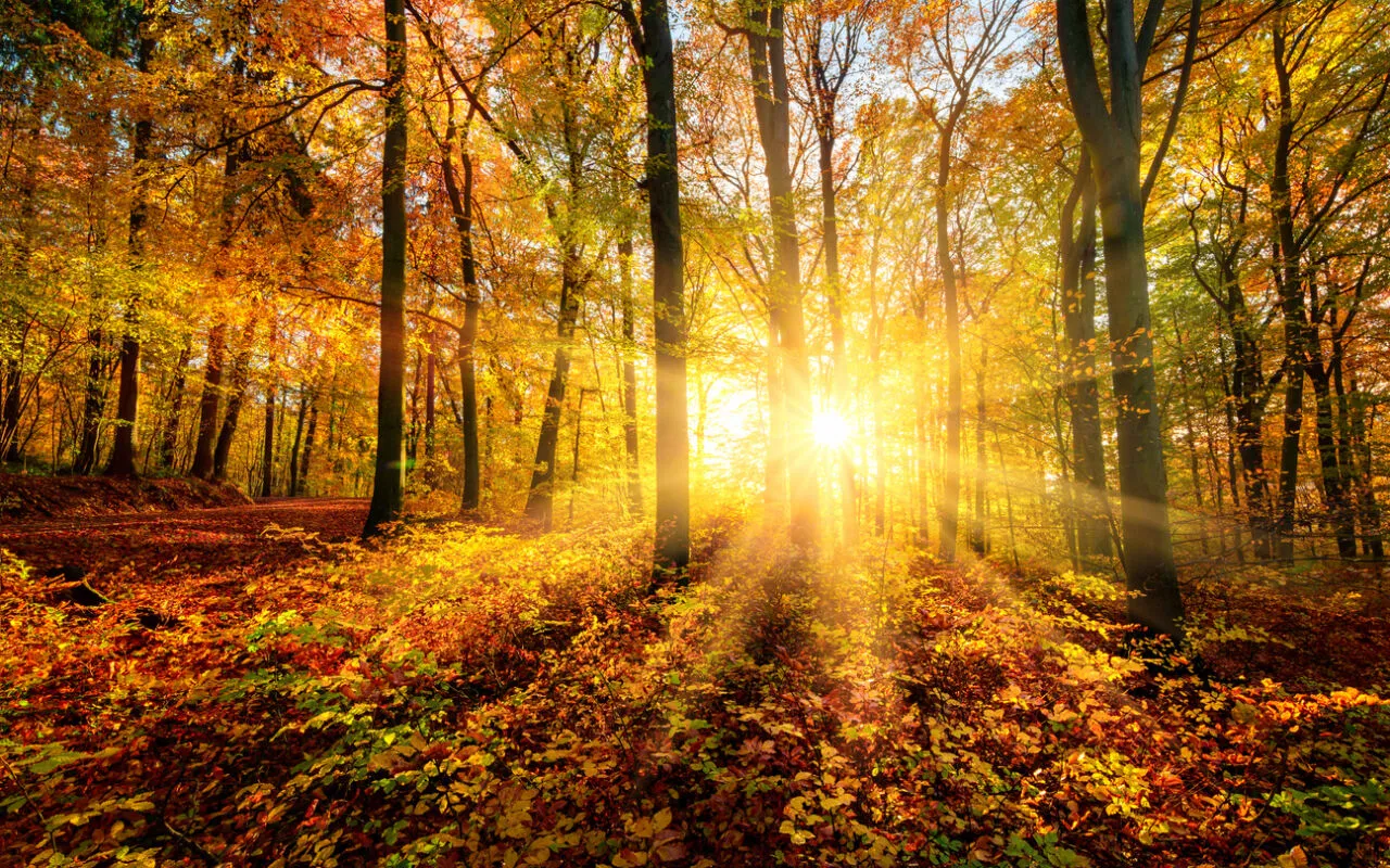 Herfstvakantie Vlaanderen