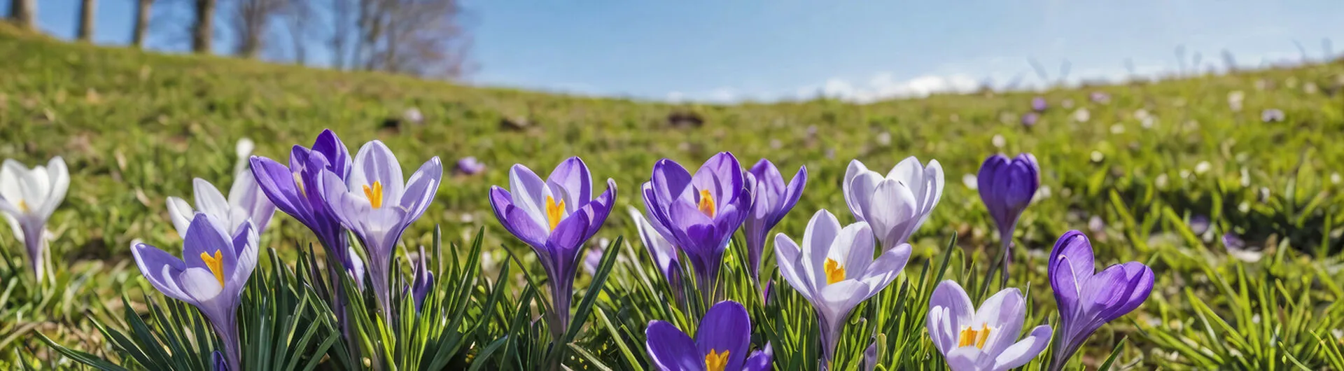 Spring half-term