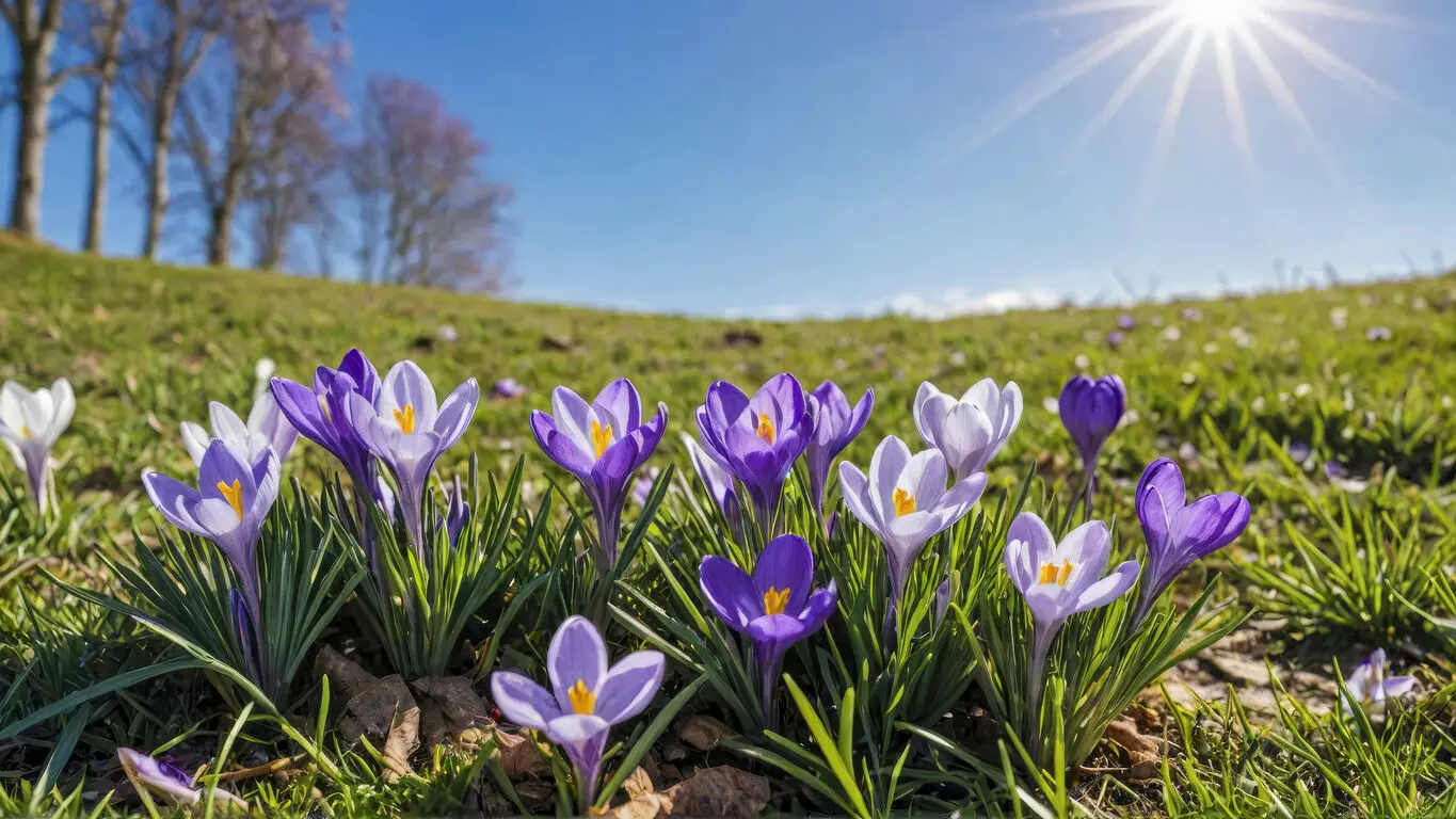 Spring half-term