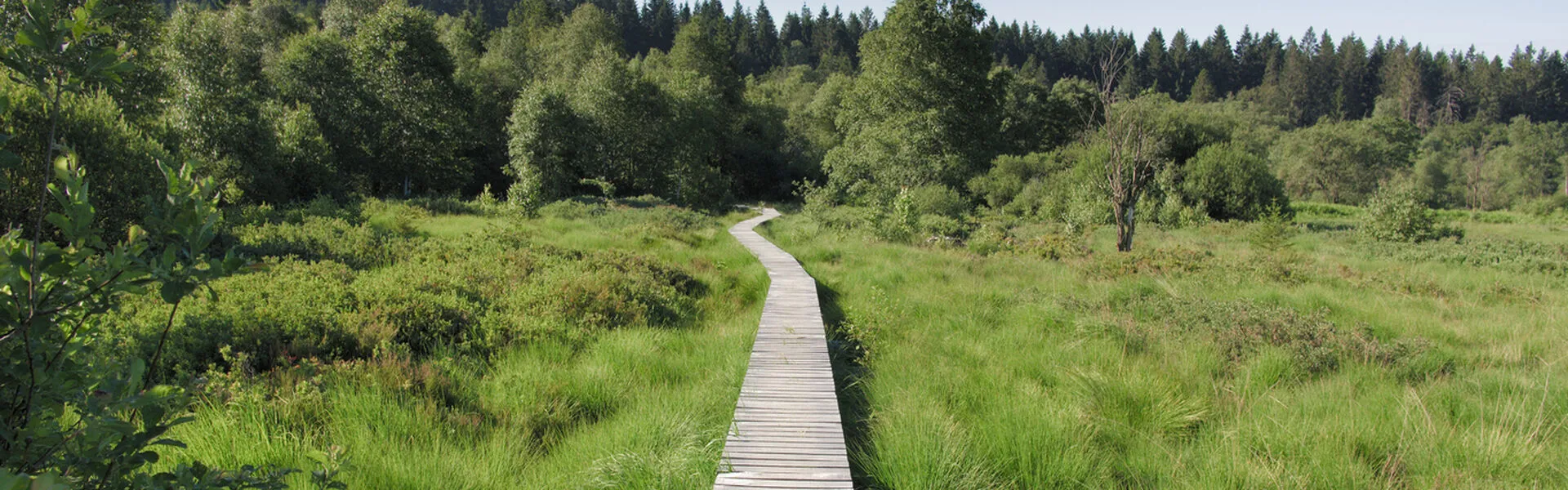 Il est temps de profiter